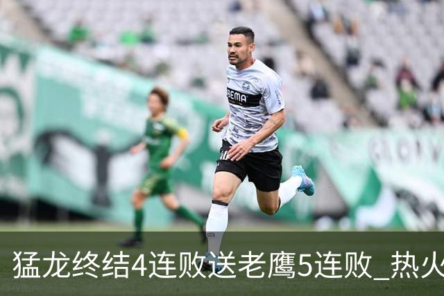 猛龙终结4连败送老鹰5连败 热火力克黄蜂