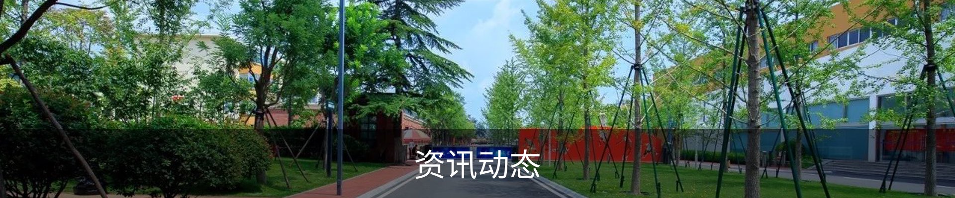 资讯动态